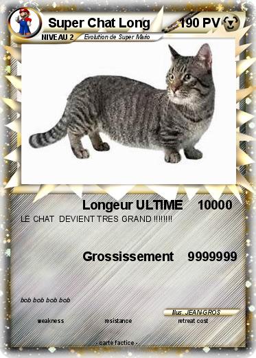 Pokemon Super Chat Long