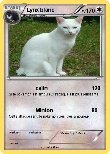Pokemon Lynx blanc