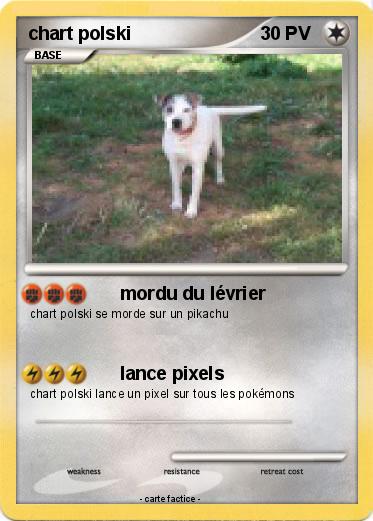 Pokemon chart polski