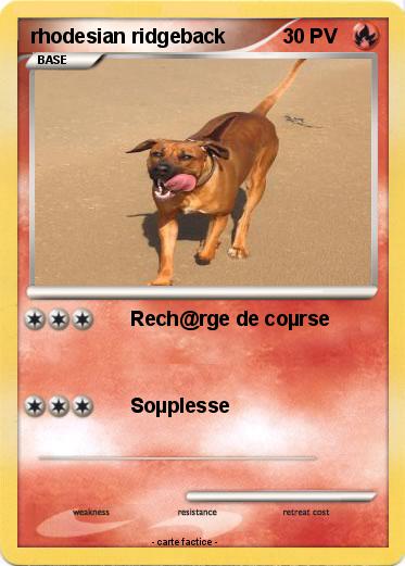 Pokemon rhodesian ridgeback