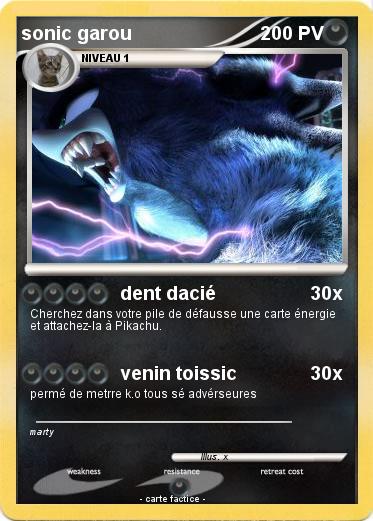Pokemon sonic garou