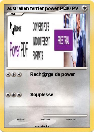 Pokemon australien terrier power PDF