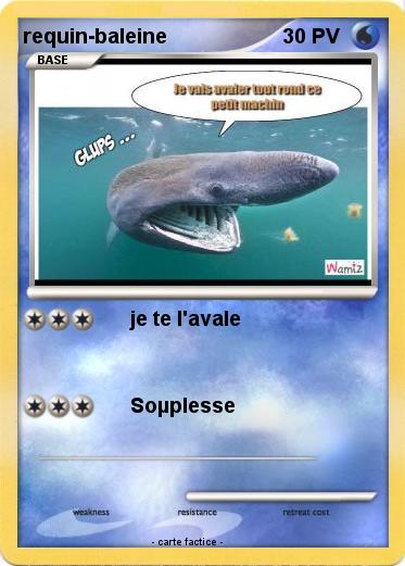 Pokemon requin-baleine