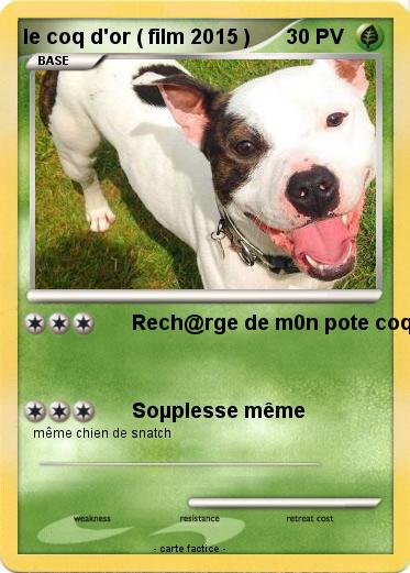 Pokemon le coq d'or ( film 2015 )