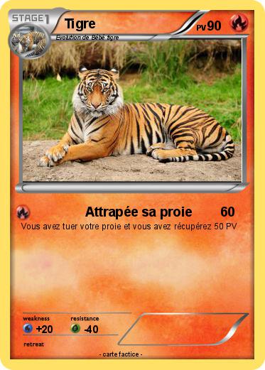 Pokemon Tigre
