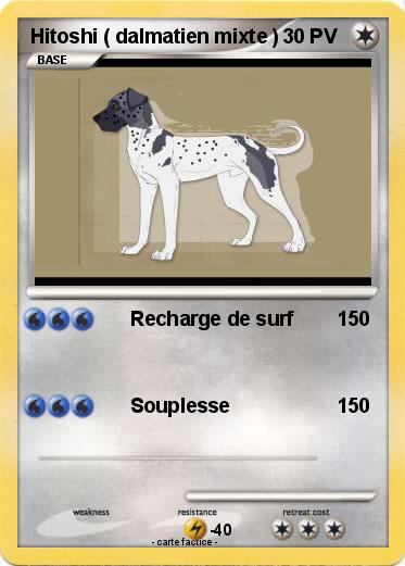 Pokemon Hitoshi ( dalmatien mixte )