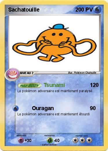 Pokemon Sachatouille