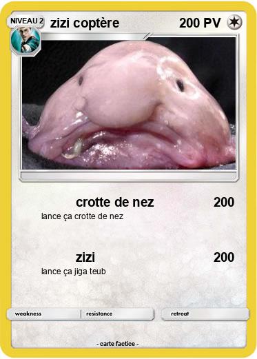 Pokemon zizi coptère