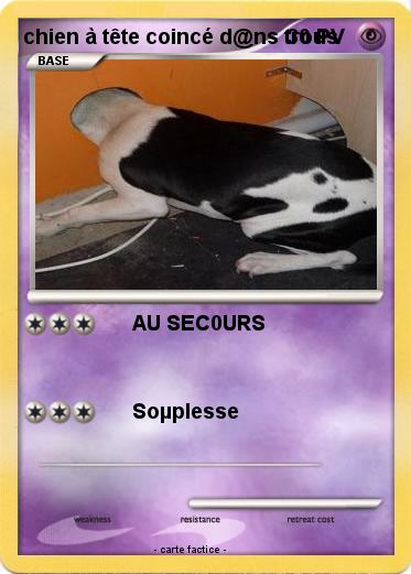 Pokemon chien à tête coincé d@ns trous