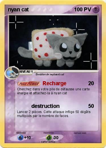 Pokemon nyan cat