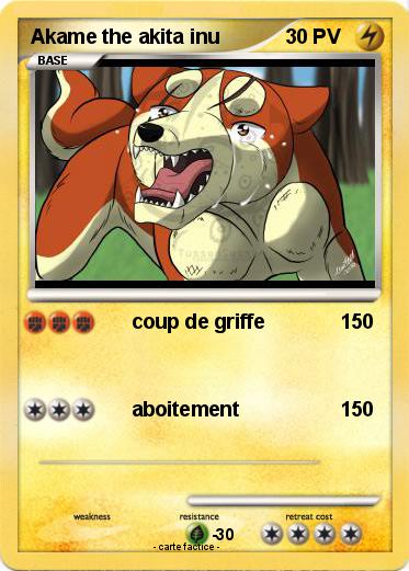 Pokemon Akame the akita inu