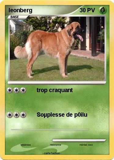 Pokemon leonberg