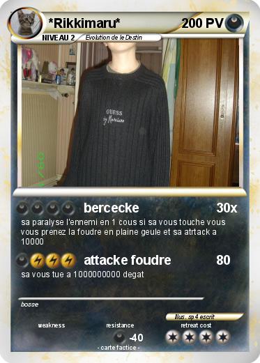Pokemon *Rikkimaru*