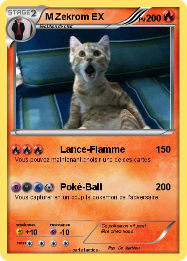 Pokemon M Zekrom EX
