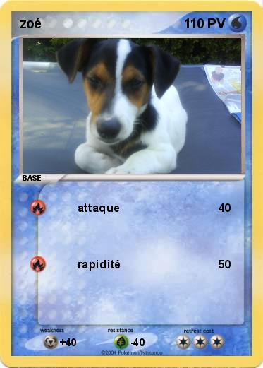 Pokemon zoé