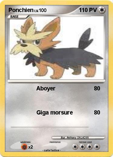Pokemon Ponchien