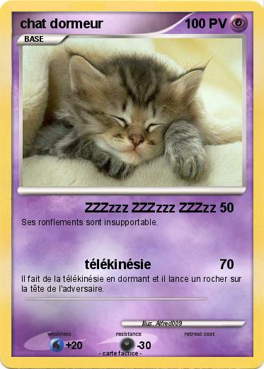 Pokemon chat dormeur