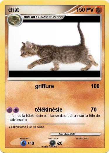 Pokemon chat