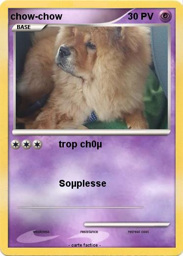 Pokemon chow-chow