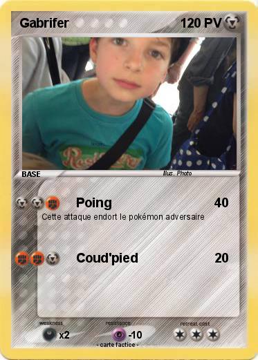 Pokemon Gabrifer