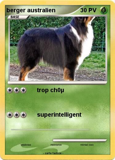 Pokemon berger australien