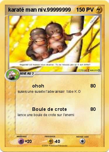 Pokemon karaté man niv.99999999
