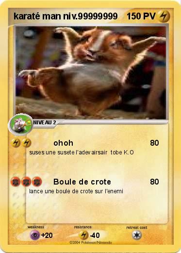 Pokemon karaté man niv.99999999