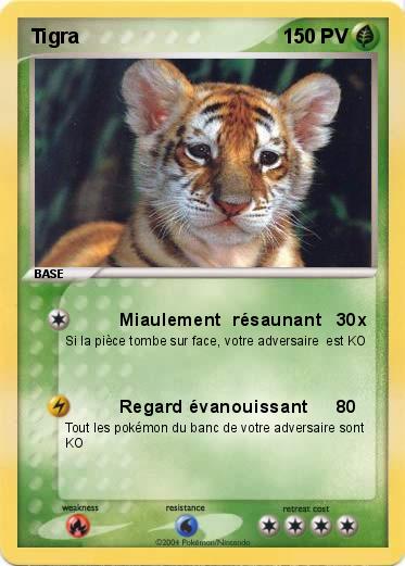 Pokemon Tigra