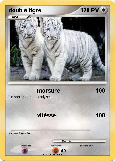 Pokemon double tigre