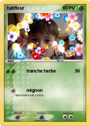 Pokemon batifleur