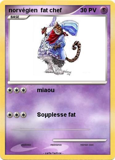 Pokemon norvégien  fat chef