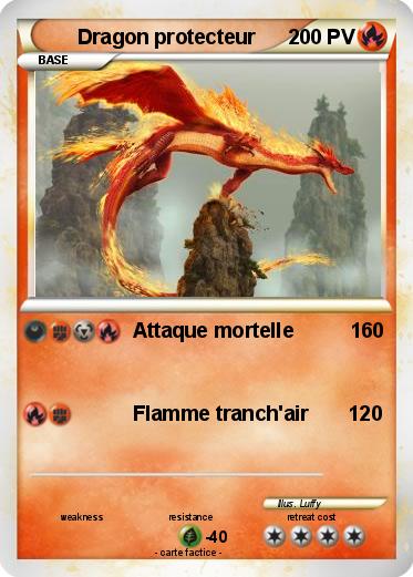 Pokemon Dragon protecteur