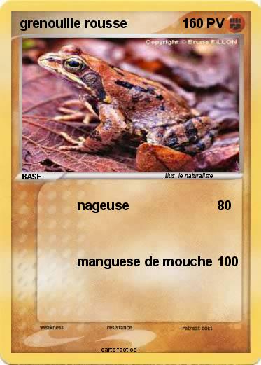 Pokemon grenouille rousse