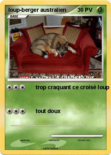 Pokemon loup-berger australien