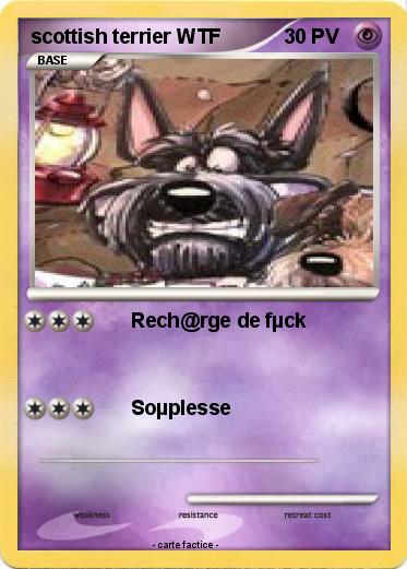 Pokemon scottish terrier WTF