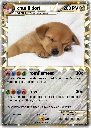 Pokemon chut il dort