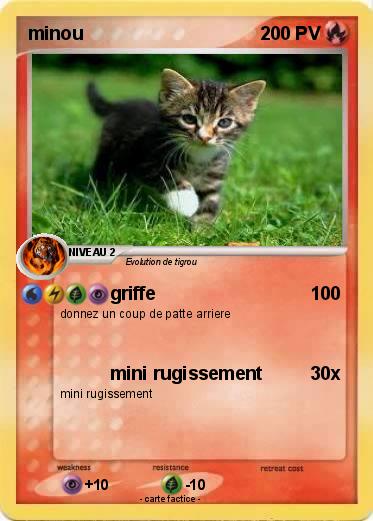 Pokemon minou