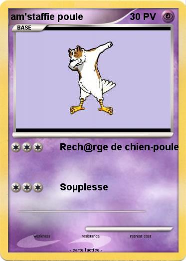 Pokemon am'staffie poule