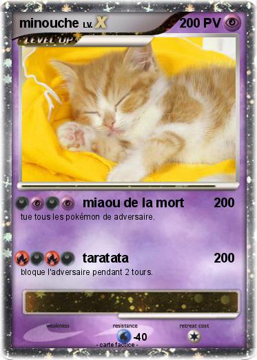 Pokemon minouche