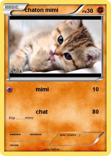 Pokemon chaton mimi