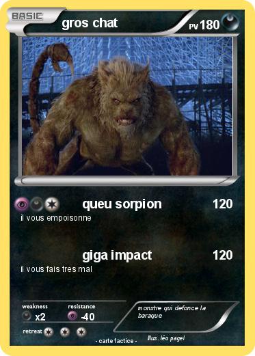 Pokemon gros chat
