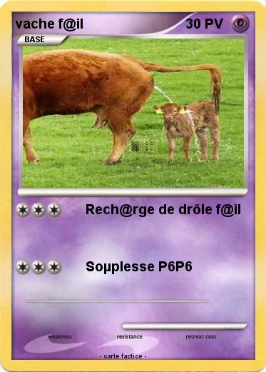 Pokemon vache f@il