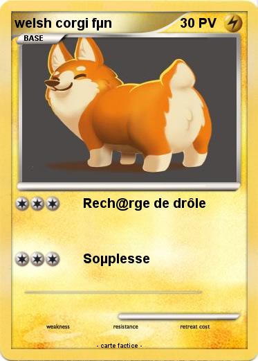 Pokemon welsh corgi fµn