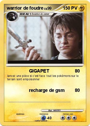 Pokemon warrior de foudre