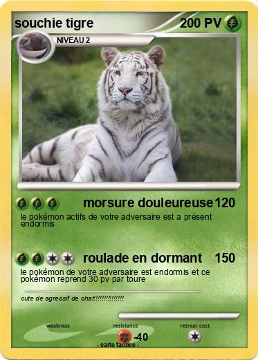 Pokemon souchie tigre