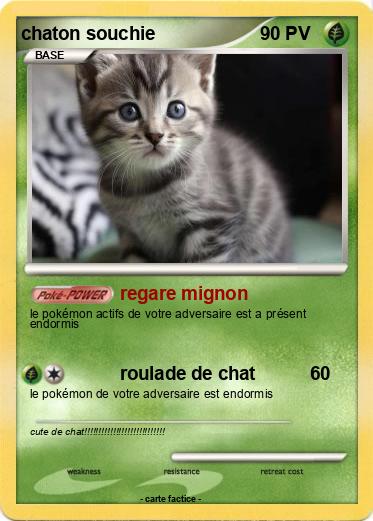 Pokemon chaton souchie
