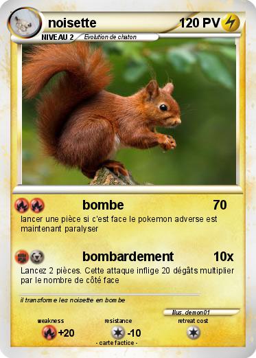 Pokemon noisette