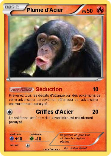 Pokemon Plume d'Acier