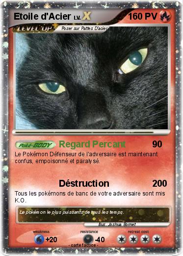 Pokemon Etoile d'Acier