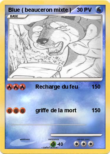 Pokemon Blue ( beauceron mixte )